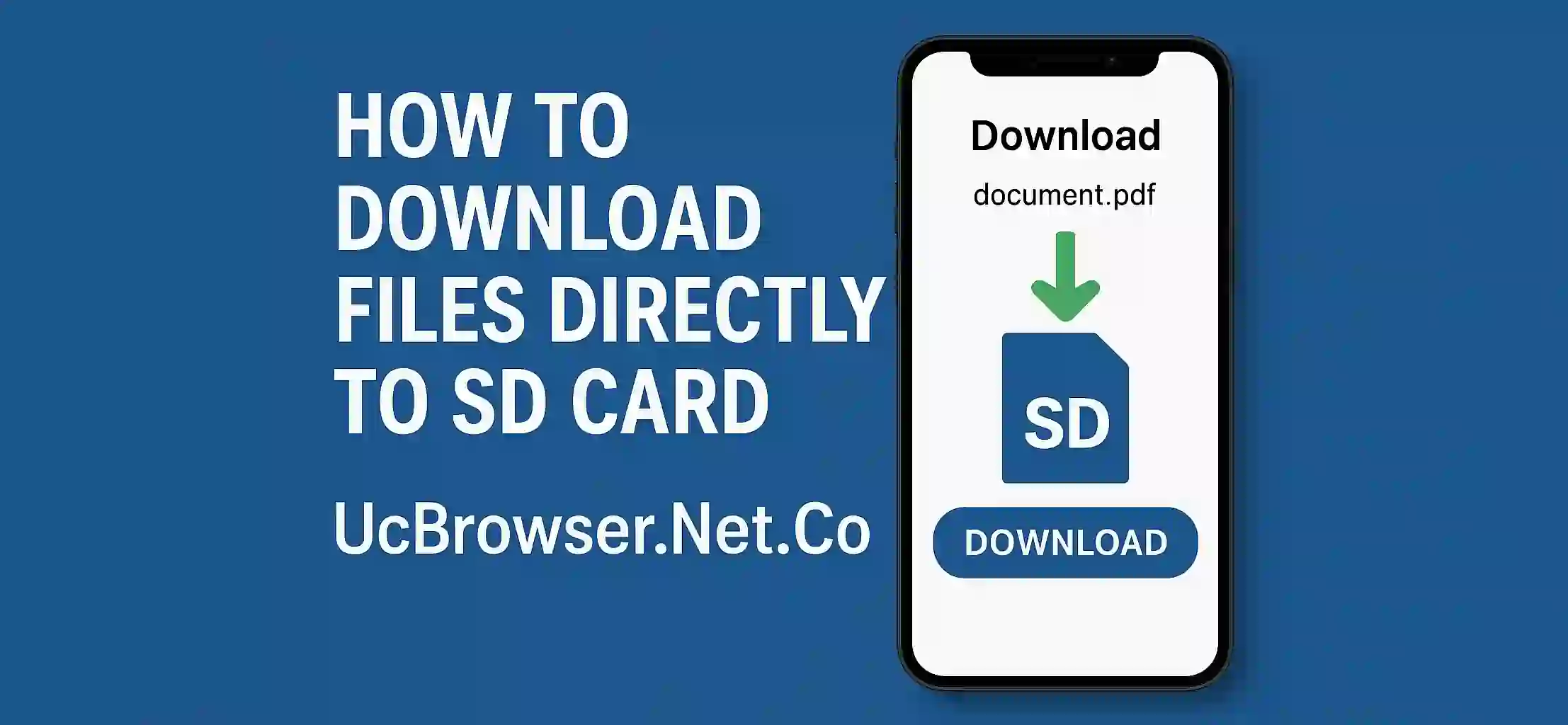 How to Download Files Directly to SD Card) (1)
