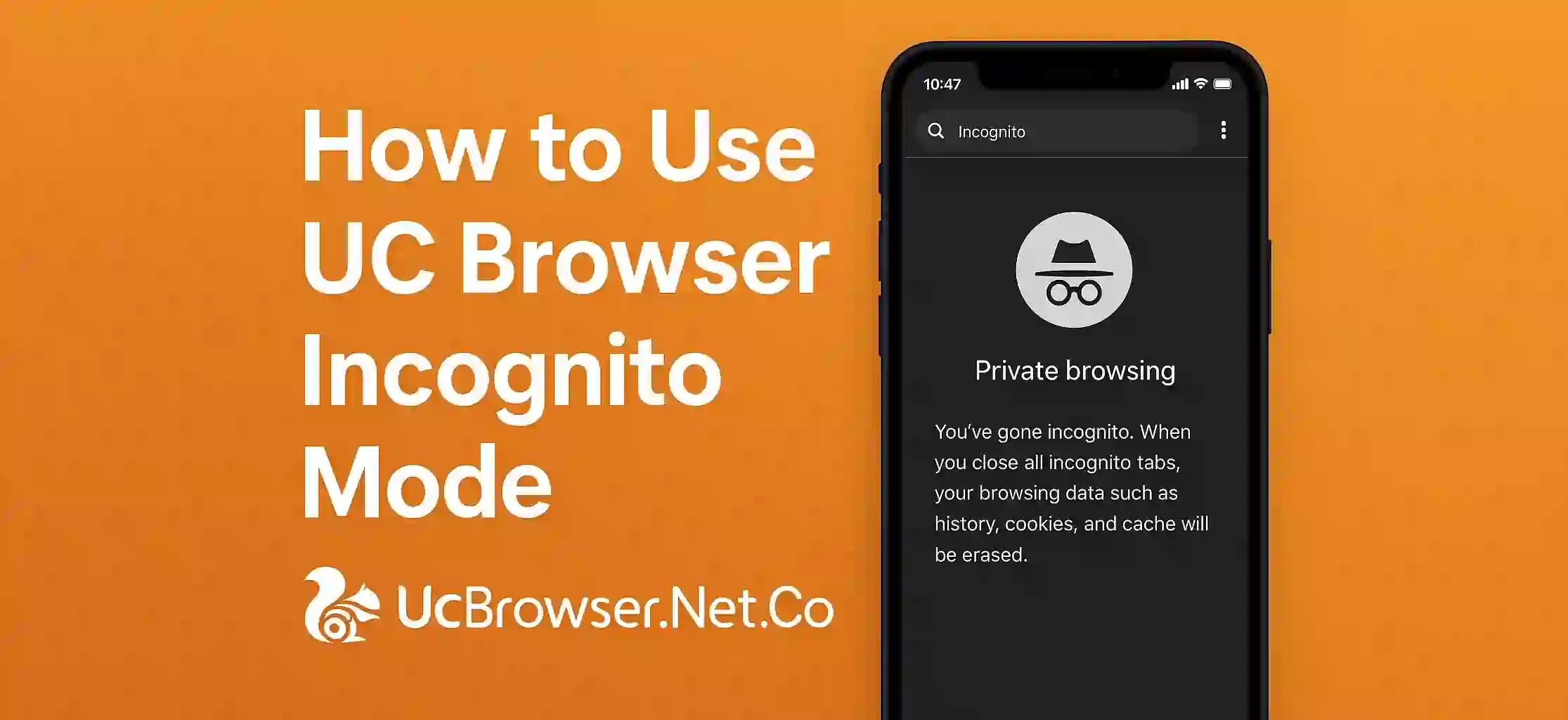 How to Use UC Browser Incognito Mode (1)